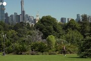 Australian Open, Jannik Sinner posa con il trofeo