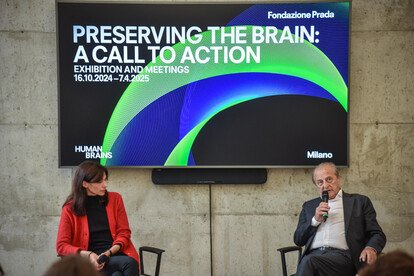 Mostra 'Preserving the brain A call to action'