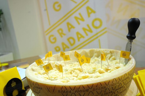 Grana Padano entra in "Valore D" a tutela equilibrio di genere