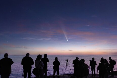 La cometa C/2023 e Venere (fonte: A. Canaveras, G. Conzo, M. D'angelo, G. Esposito, L. Guariglia, G. Marrani e A. Lombardozzi, C. E. Tronci e A. Lulli, P. Giangreco Marotta, G. Spaziani e F. Orfino, tutti del Gruppo Astrofili Palidoro)