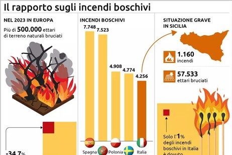 Dati incendi boschi