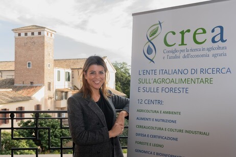 Crea, Maria Chiara Zaganelli è il nuovo direttore generale