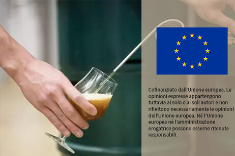 In Ue è boom della birra analcolica, produzione +13,5% nel 2023