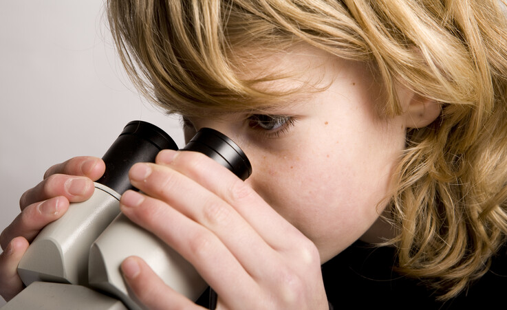 La coerenza con i dati osservati e la capacità di aggiornare le teorie è alla base del metodo scientifico (fonte: BartCo, iStock) © Ansa