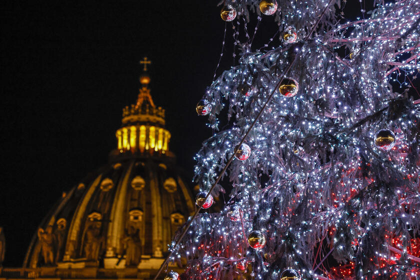 Nativity Scene and Christmas Tree in St Peter 's Square - ALL RIGHTS RESERVED