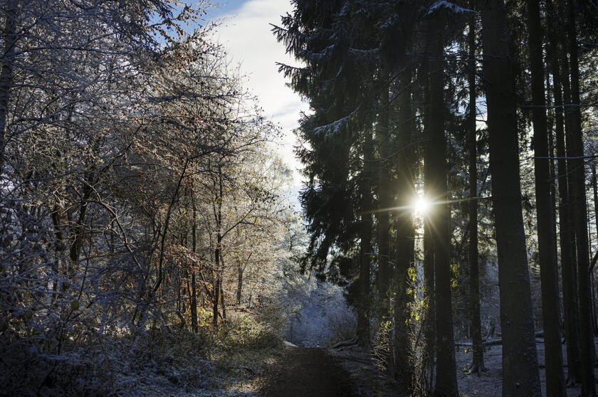 A warmth of the sun in winter in Copenhagen