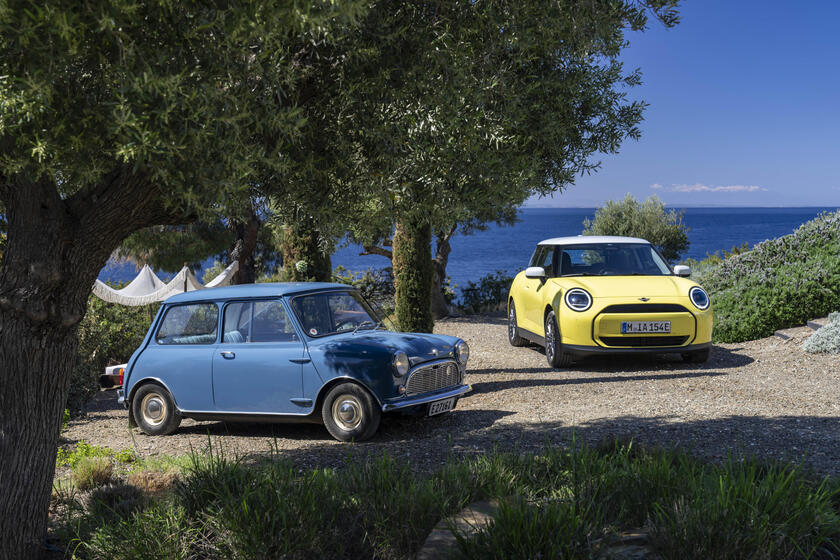 Mini compie 65 anni