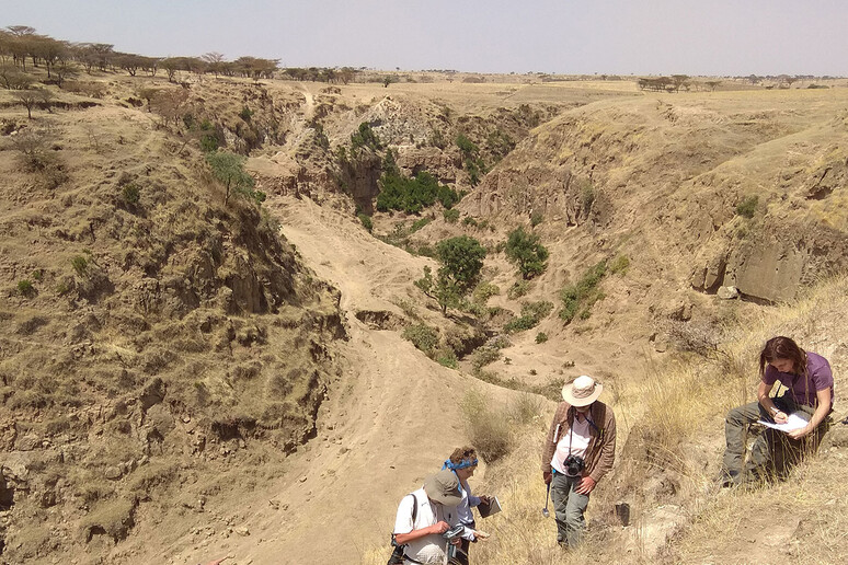 La Rift Valley ad Asela, in Etiopia (fonte: Università di Firenze - Cnr-Igg) - RIPRODUZIONE RISERVATA