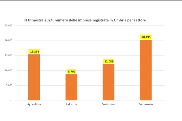 - RIPRODUZIONE RISERVATA